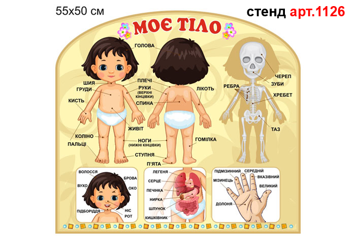 Стенд по валеологии